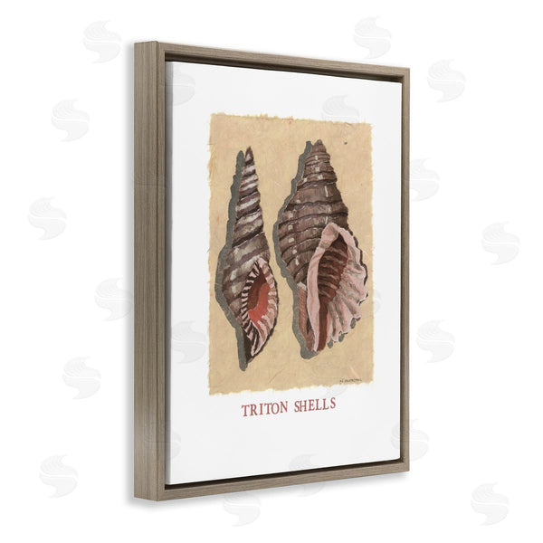 Stupell Industries Nancy Overton | Triton Shell Pair