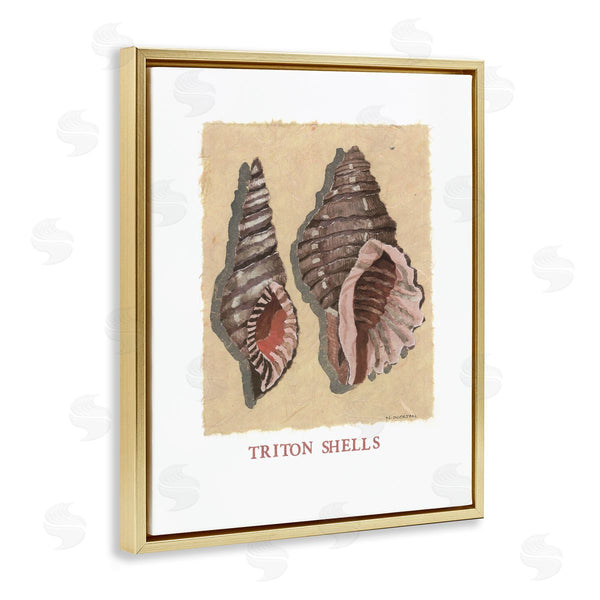 Stupell Industries Nancy Overton | Triton Shell Pair