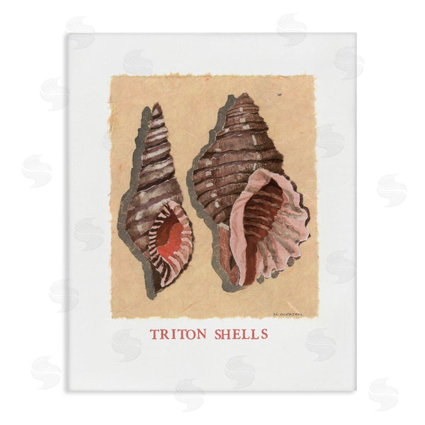 stupell industries Nancy Overton | Triton Shell Pair