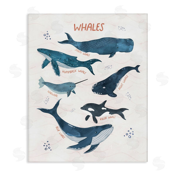 stupell industries Nina Blue | Whales of the World