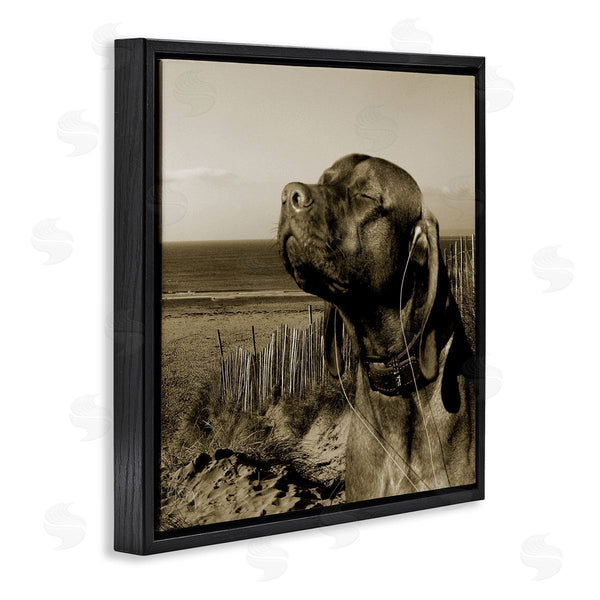 Stupell Industries Noah Bay | Relaxed Dog With Music