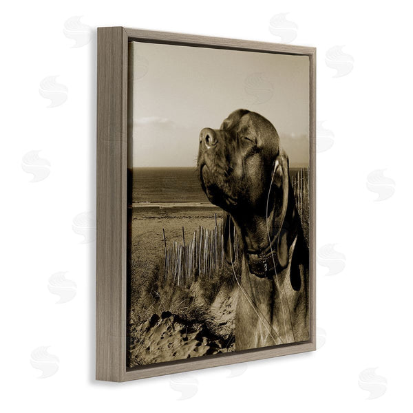 Stupell Industries Noah Bay | Relaxed Dog With Music