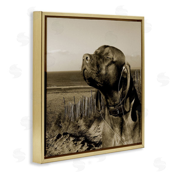 Stupell Industries Noah Bay | Relaxed Dog With Music