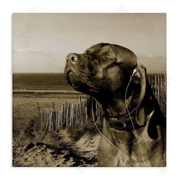 stupell industries Noah Bay | Relaxed Dog with Music