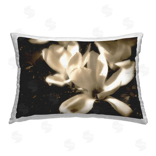 Stupell Industries Noah Bay | Soft Sepia Blooms
