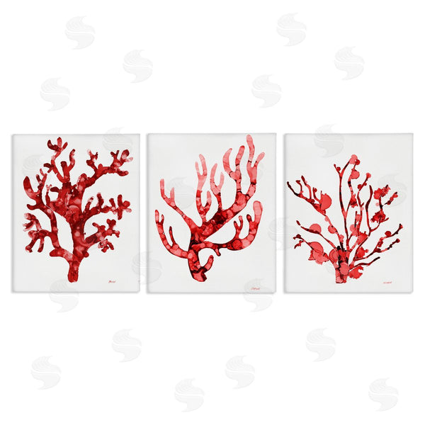 stupell industries Patti Mann | Bold Red Coral