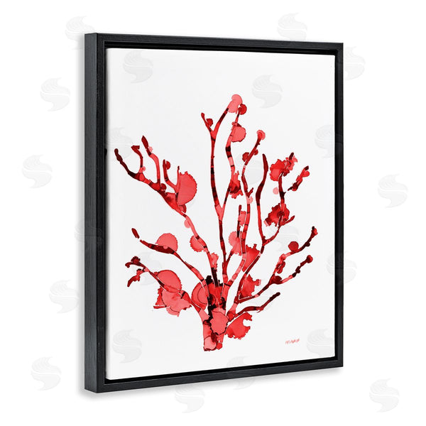 Stupell Industries Patti Mann | Coral With Splashes