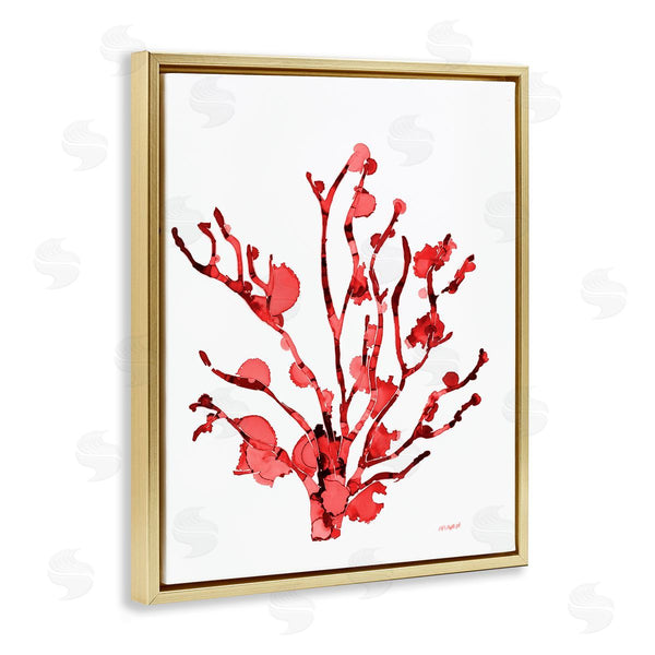 Stupell Industries Patti Mann | Coral With Splashes