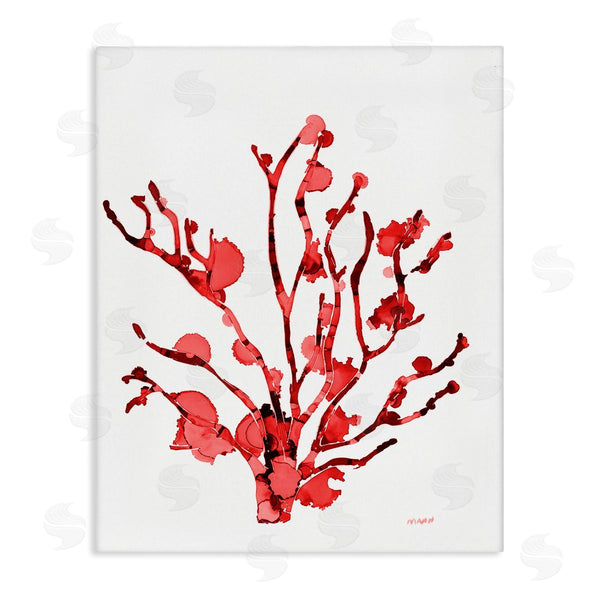 stupell industries Patti Mann | Coral With Splashes