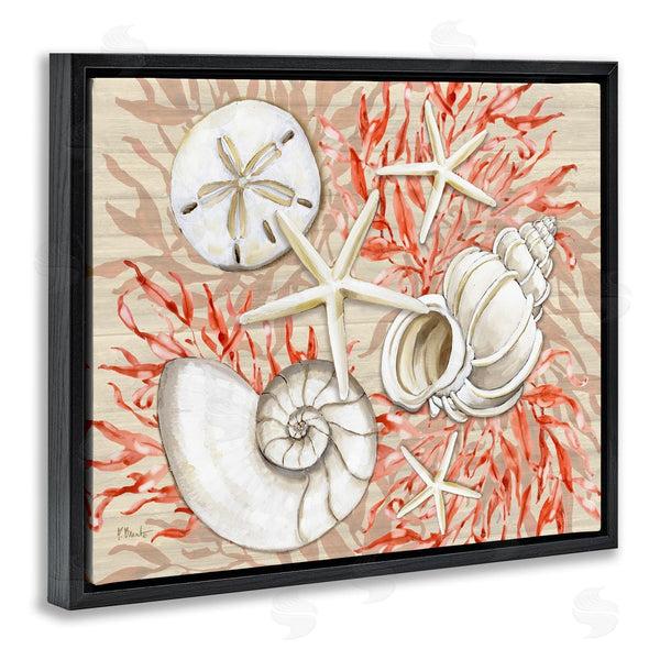 Stupell Industries Paul Brent | Coral White Shells