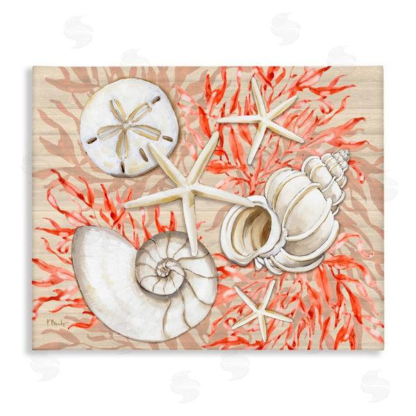 stupell industries Paul Brent | Coral White Shells