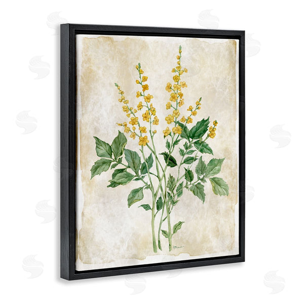 Stupell Industries Paul Brent | Floral Journal Page