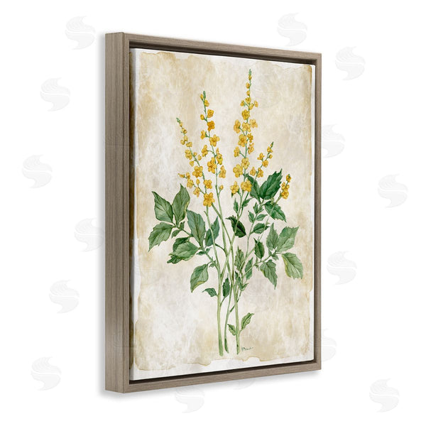 Stupell Industries Paul Brent | Floral Journal Page