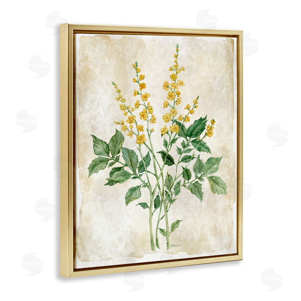 Stupell Industries Paul Brent | Floral Journal Page