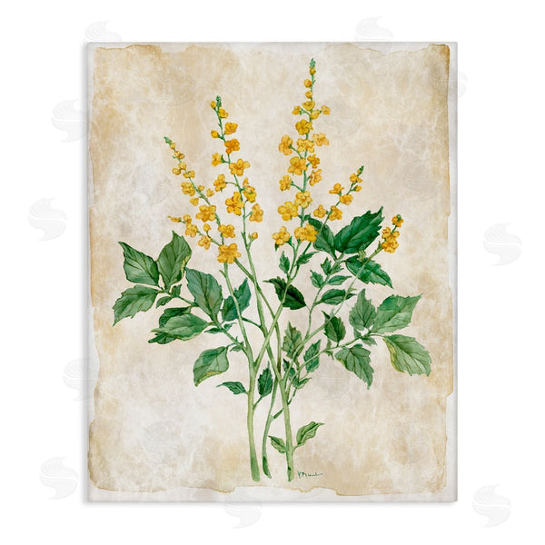 stupell industries Paul Brent | Floral Journal Page