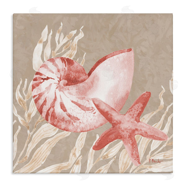 stupell industries Paul Brent | Peach Tampico Shells