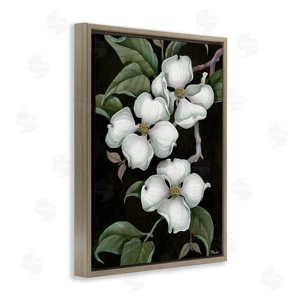 Stupell Industries Paul Brent | Vintage Dogwood Trio