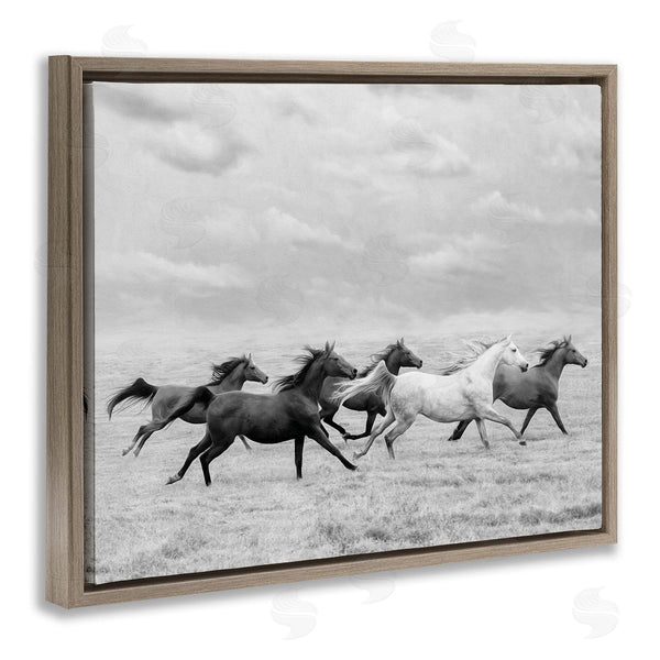 Stupell Industries PHBurchett | Galloping Horse Herd