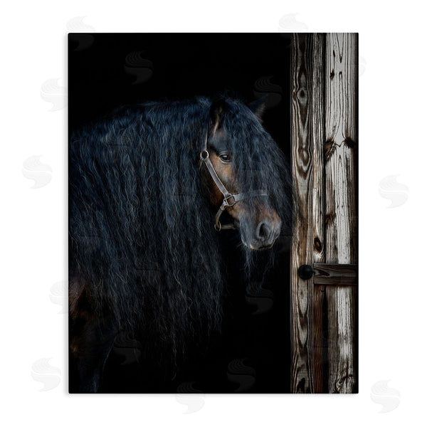 stupell industries PHBurchett | Horse with Wavy Mane