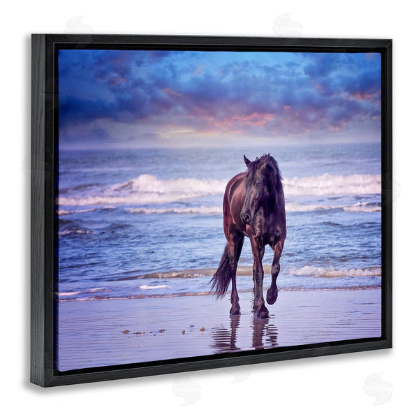 Stupell Industries PHBurchett | Wild Horse On Beach