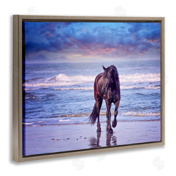 Stupell Industries PHBurchett | Wild Horse On Beach