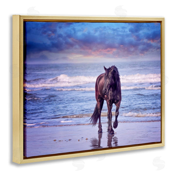 Stupell Industries PHBurchett | Wild Horse On Beach