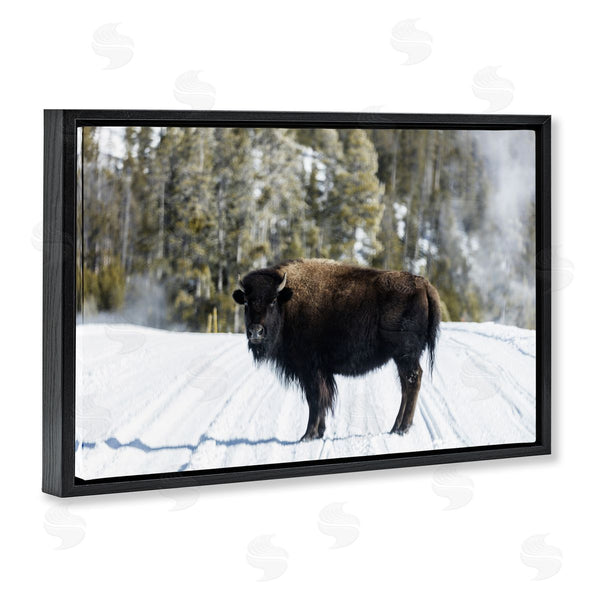 Stupell Industries PIDDIX | Bison On Snowy Track