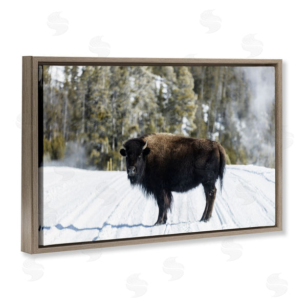 Stupell Industries PIDDIX | Bison On Snowy Track