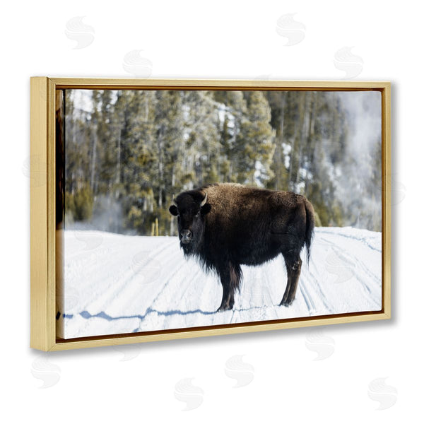 Stupell Industries PIDDIX | Bison On Snowy Track