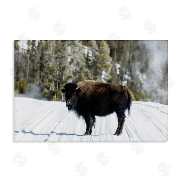 stupell industries PIDDIX | Bison on Snowy Track