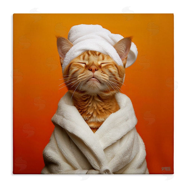stupell industries RB | Cat in Bathrobe Wall Art