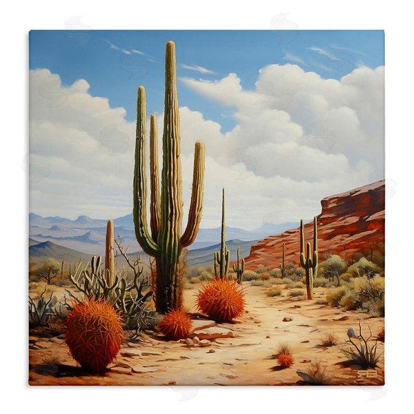 stupell industries RB | Cloudy Desert Path Wall Art
