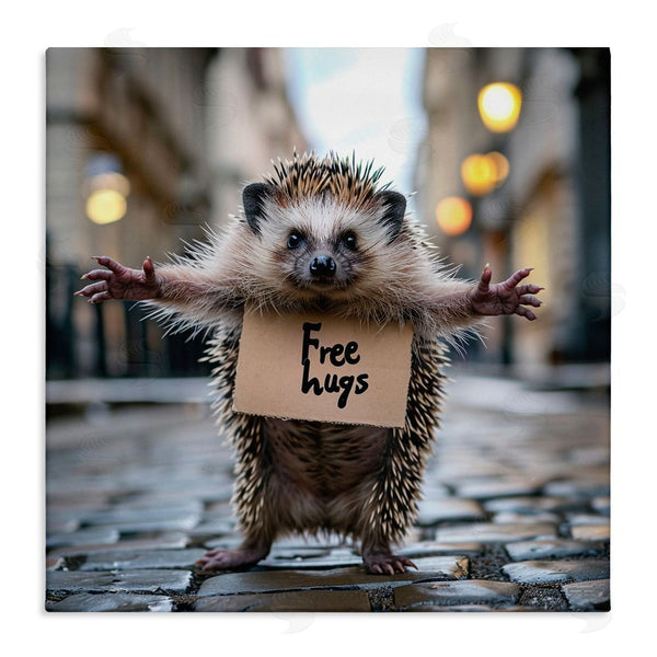 stupell industries RB | Free Hugs Hedgehog Wall Art