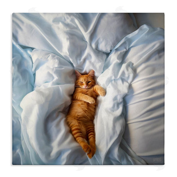 stupell industries RB | Sprawled Orange Cat Wall Art