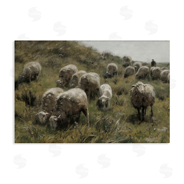 stupell industries RileyB | Sheep At Pasture