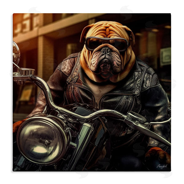 stupell industries Roozbeh | Bulldog Biker Portrait
