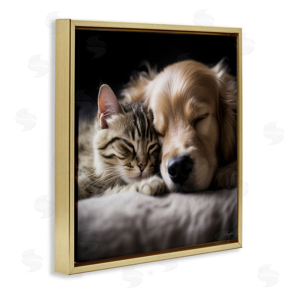Stupell Industries Roozbeh | Cat & Dog Photography