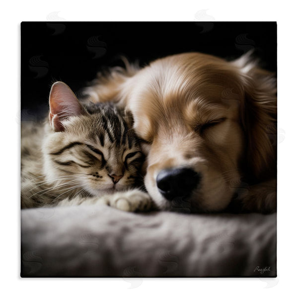 stupell industries Roozbeh | Cat & Dog Photography