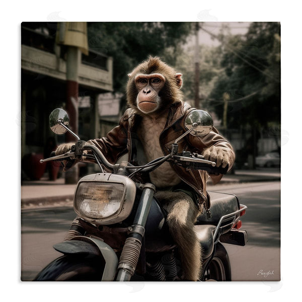 stupell industries Roozbeh | Monkey Motorcycle Biker