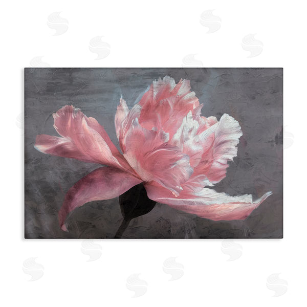 stupell industries Shirley G. | Flared Flower Petals