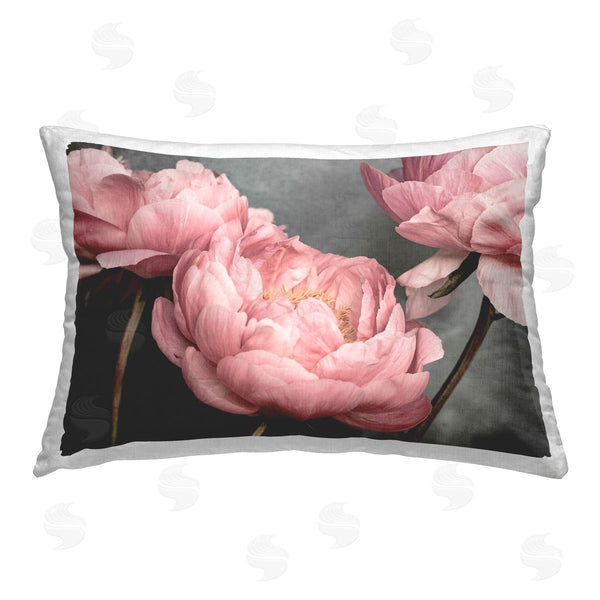 stupell industries Sisi and Seb | Pink Peonies Trio