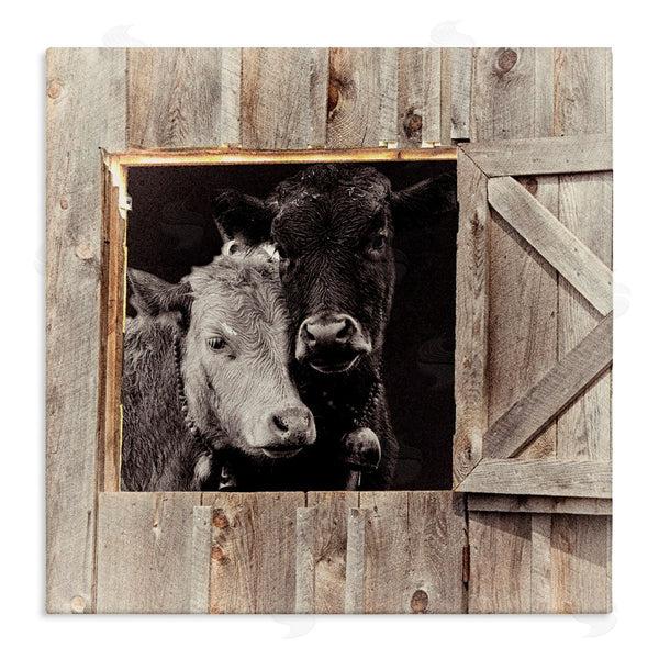 stupell industries Sophie 6 | Best Friends Barn Cows