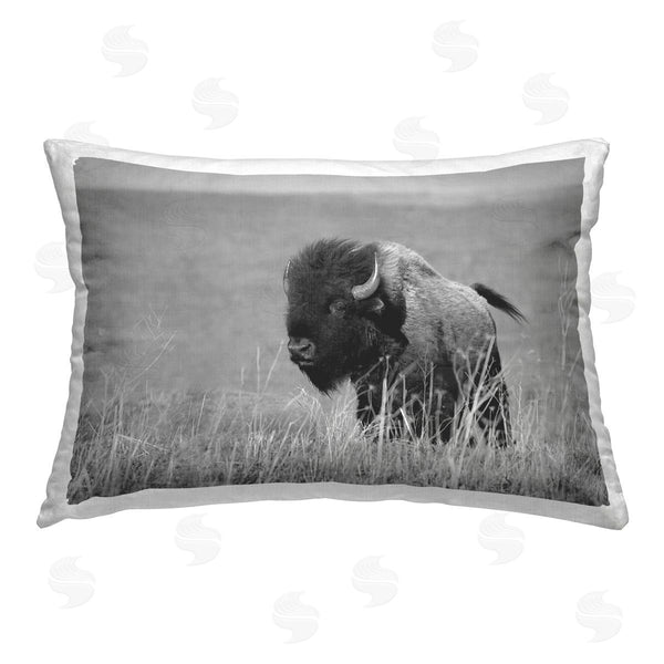 stupell industries Steve Toole | Bison with Reeds