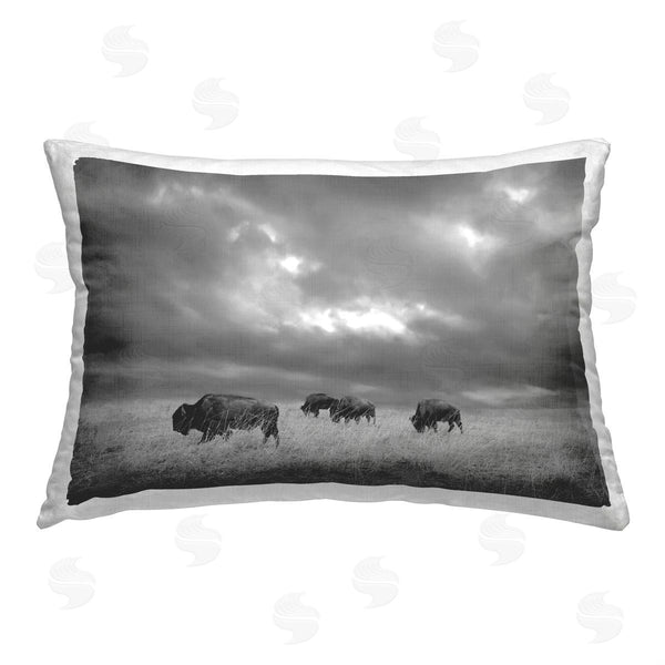 stupell industries Steve Toole | Cloudy Field & Bison