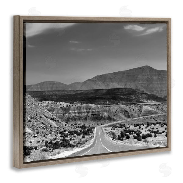 Stupell Industries Steve Toole | Desert Canyon Road