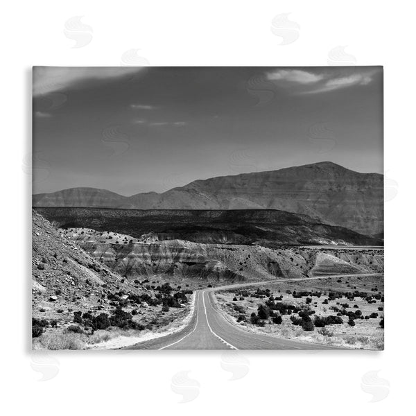 stupell industries Steve Toole | Desert Canyon Road