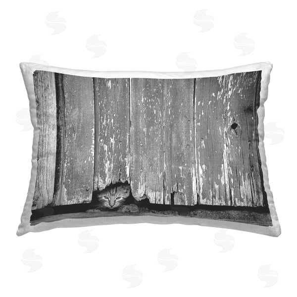 stupell industries Steve Toole | Kitten Peeking Barn