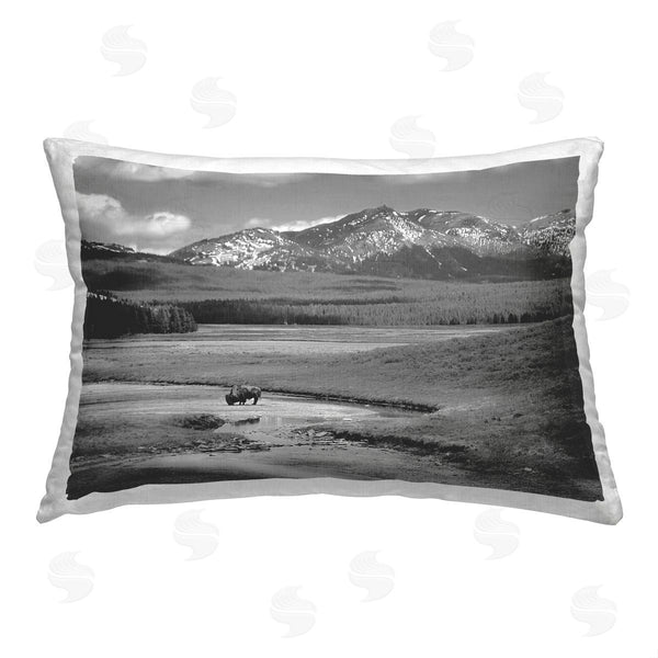 stupell industries Steve Toole | Rural Country Bison