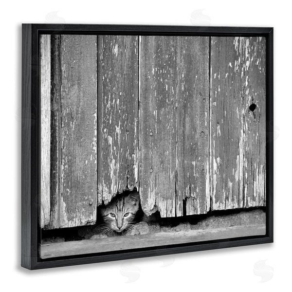 Stupell Industries Steve Toole | Rustic Cat Peeking