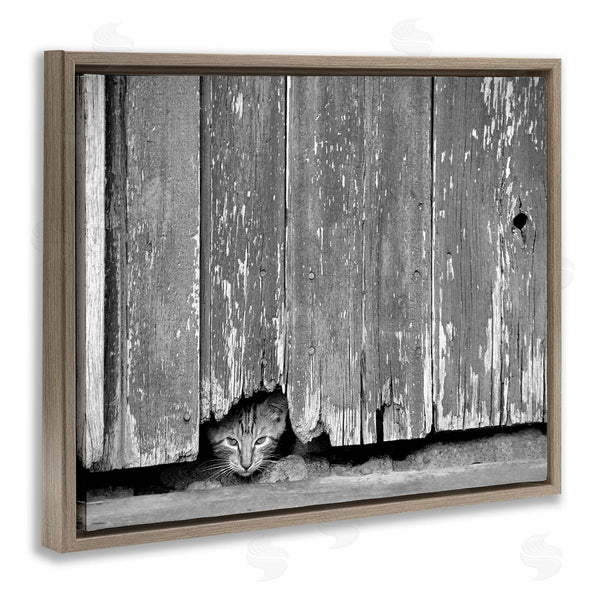 Stupell Industries Steve Toole | Rustic Cat Peeking
